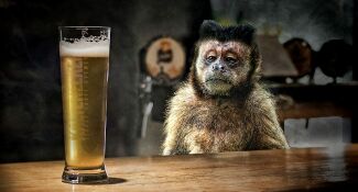 Beer monkey.jpg