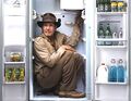 Indiana Jones in fridge.jpg